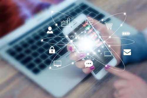 系統定制開發與網絡安全軟件開發為何價格高昂？